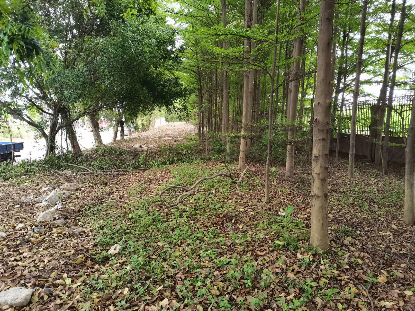 佛山市康盈投资治理有限公司地块出租评估